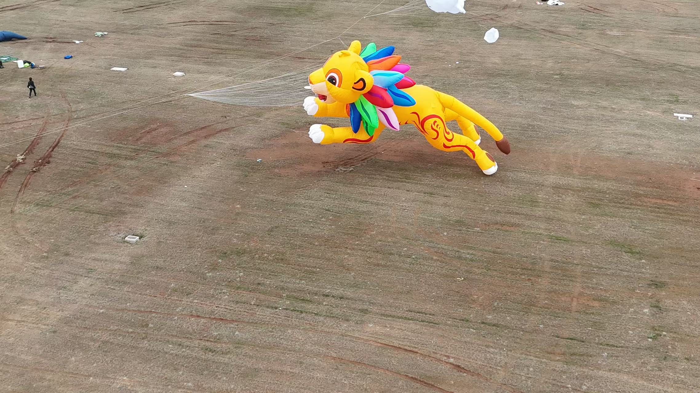 鞍山市品牌风筝定制风筝放飞活动策划 - 排名